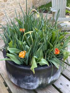 2 bedroom 17th Century Barn with surround sound TV in quiet village near great pubs and walks