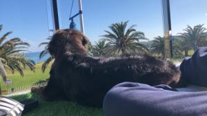 Alojamientos Marte apartamento a pie de playa y garaje