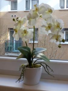 Apartment Avanti Budapest