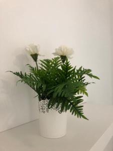 Chayofa Hills V - 2 Bedroom Apartment with Ocean Views and Air-condition