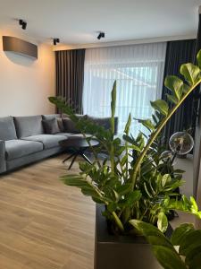 Apartamentowiec Opole