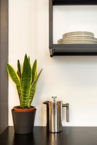 Studio am Malerweg Altstadt Pirna