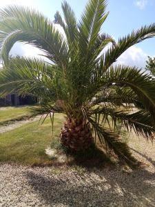 Maisons de vacances Cottage de launay blot, Proche MT ST MICHEL : photos des chambres