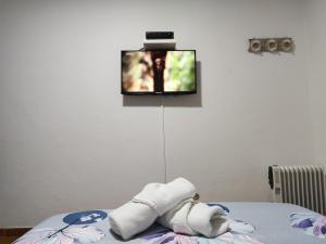 The Whale Beach House