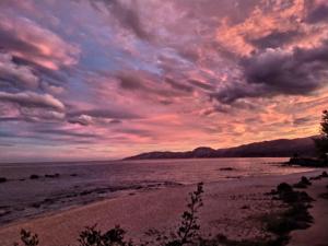 Appartamento a 50 mt dal mare img27