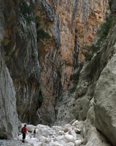 Appartamento a 50 mt dal mare img35