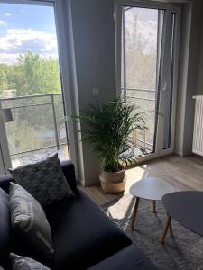 Słoneczny apartament z garażem przy Parku Kościuszki