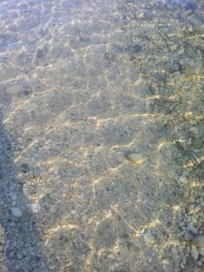 Villa Simona giardino & mare img61