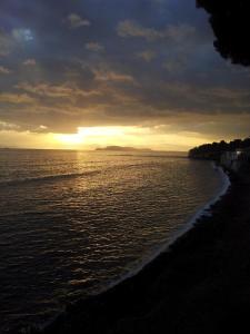 Villa Simona giardino & mare img64