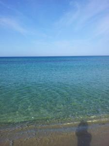 Villa Simona giardino & mare img58