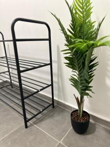 The Orchid, Apartment by LMG