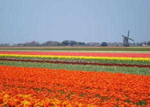 Knus chalet met zwembad en sauna