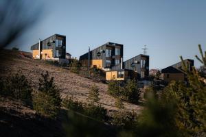 Wild nest Zlatibor Bear