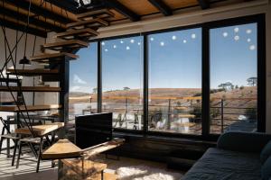 Wild nest Zlatibor Bear