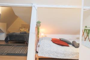 Appartements Le petit Loft, Mulhouse centre : photos des chambres