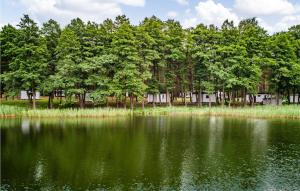 Beautiful Home In Sulnowo With Sauna