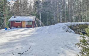 Gorgeous Home In Enviken With Kitchen
