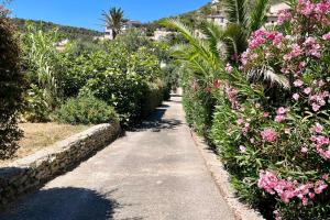 Maisons de vacances Merveilleuse maison a 3 min du port de Bonifacio : photos des chambres