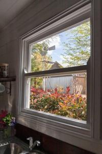 Woolbrook Cottage - Charming 1890s Heritage