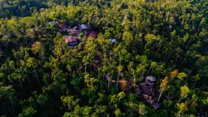 Atremaru Jungle Retreat