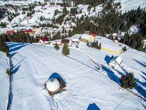 WildGlampingArieseni