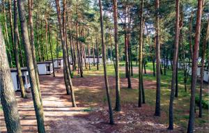 Cozy Home In Sulnowo With Sauna