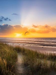 Maisons de vacances gite neuf proche de la plage : photos des chambres