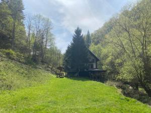 Casa de vacanta Satic Piatra Craiului La Doi viermi