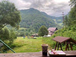 Casa de vacanta Satic Piatra Craiului La Doi viermi