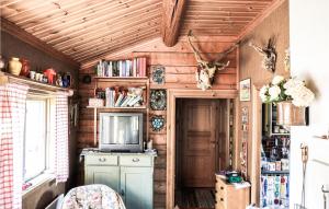 Amazing Home In Enviken With Lake View