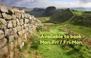 5 The Croft - 贝灵汉姆