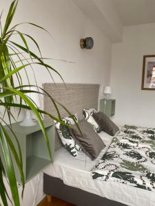 Central Apartment - Museum View