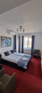 RIA Room - Apartemente 9 - 拜勒乌努麦