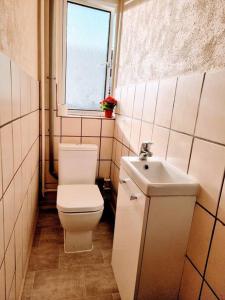 Lovely House with garden