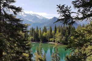 Appartements Appartement tout equipe vue Mont-Blanc : photos des chambres