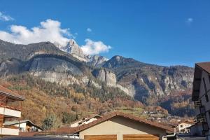 Appartements Appartement tout equipe vue Mont-Blanc : photos des chambres