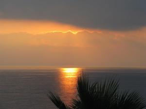 Appartements Residence VILLA MOROSI - Favone : photos des chambres