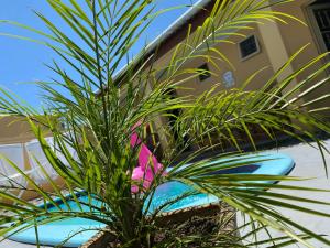 Cantinho Dom Inácio