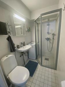 Scandinavian Home 17 city Center Työmiehenkatu 2B