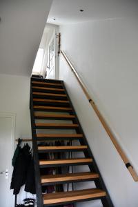 Appartementen Chaamse Bossen met tuin