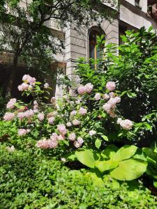 Turul Apartment Budapest