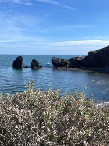 Appartements Cap d’Agde Centre port avec parking prive et belle vue port et mer : photos des chambres