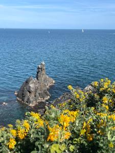 Appartements Cap d’Agde Centre port avec parking prive et belle vue port et mer : photos des chambres