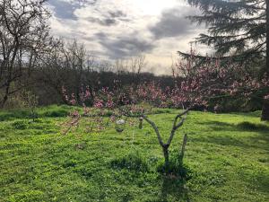 Maisons de vacances Le Merlat Gite : photos des chambres