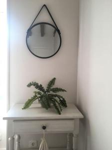 Appartements VerOliv : Superbe appartement renove proche du centre-ville : photos des chambres