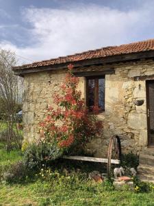 Maisons de vacances Le Merlat Gite : photos des chambres