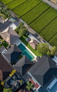 Big PRIVATE 11 Bed, 12,5 Bath, Rosefield Villa with POOL, close to the beach