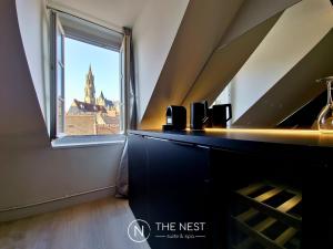 Appartements The Nest. duplex jacuzzi hyper centre de Senlis : photos des chambres
