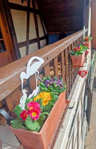 Appartements Un balcon sur les toits : photos des chambres