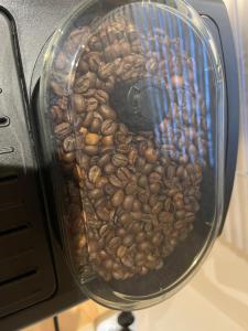 Appartements Location MH situee a 15 mn d europa park et rulantika : photos des chambres